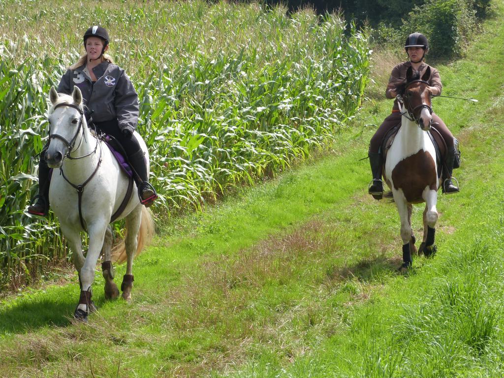 Gite Et Relais Equestre De Marie Tours-en-Vimeu Ngoại thất bức ảnh