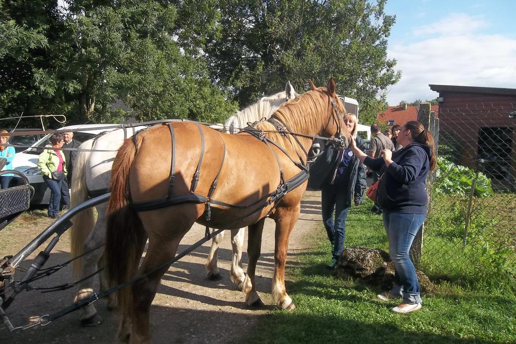 Gite Et Relais Equestre De Marie Tours-en-Vimeu Phòng bức ảnh