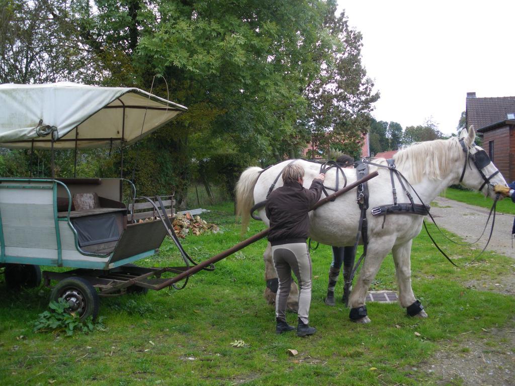 Gite Et Relais Equestre De Marie Tours-en-Vimeu Phòng bức ảnh
