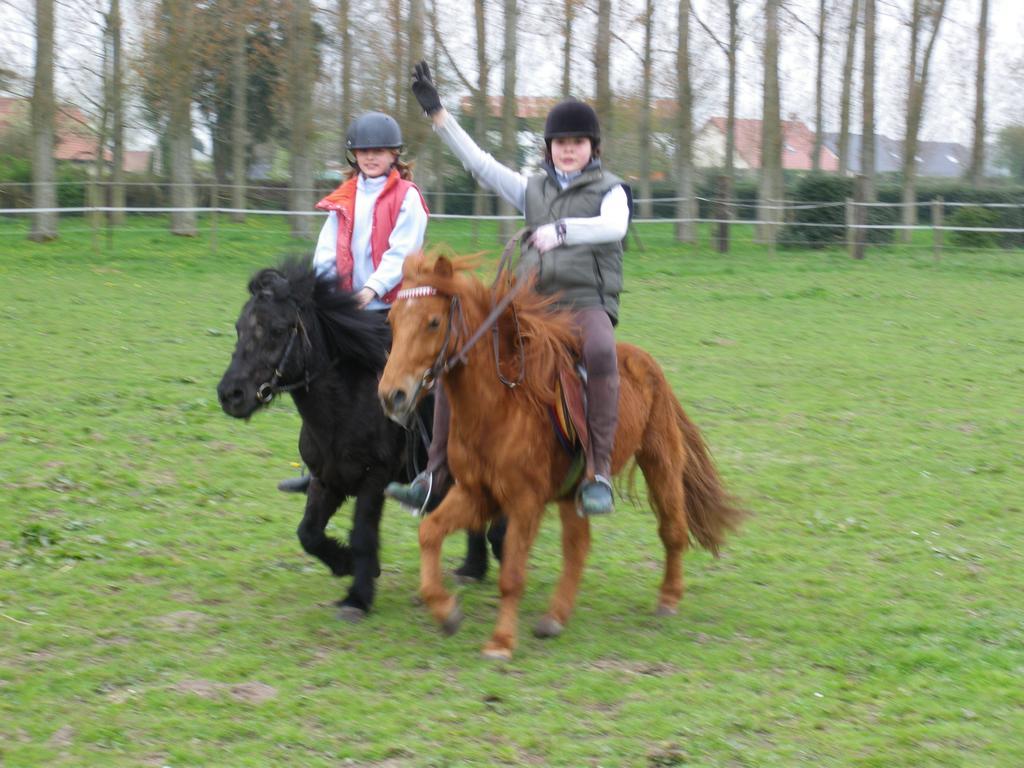 Gite Et Relais Equestre De Marie Tours-en-Vimeu Phòng bức ảnh