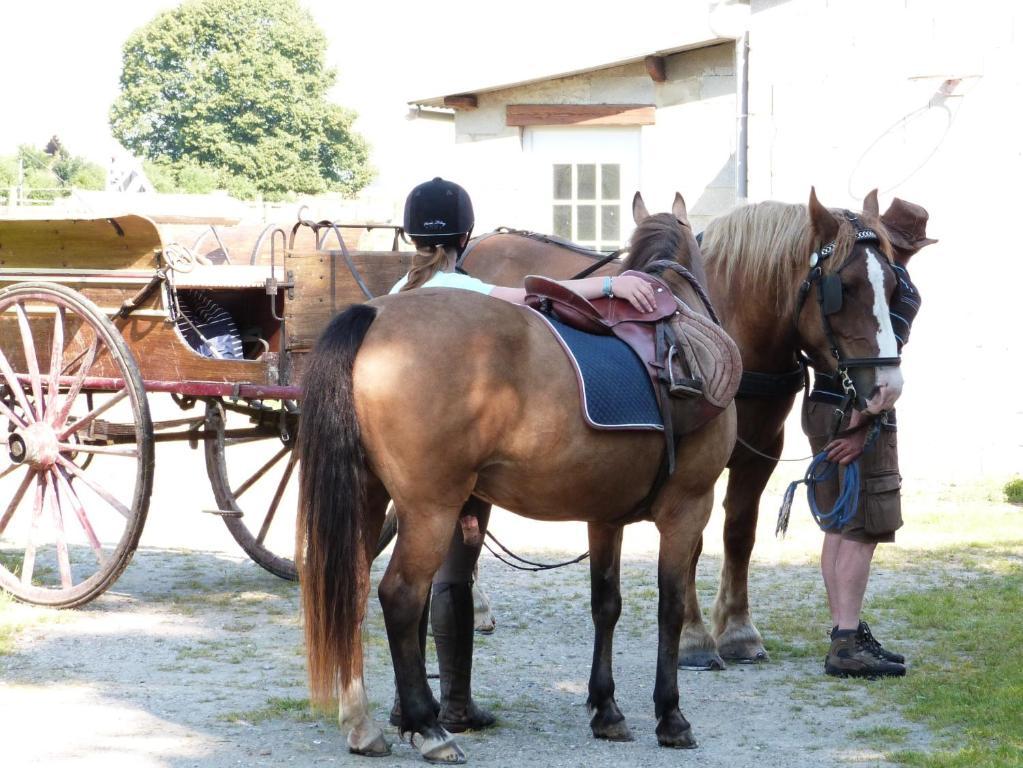 Gite Et Relais Equestre De Marie Tours-en-Vimeu Phòng bức ảnh