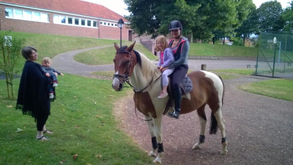 Gite Et Relais Equestre De Marie Tours-en-Vimeu Ngoại thất bức ảnh